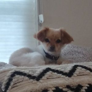 Meet your Posher, Natalie